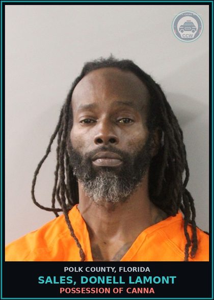 CCW arrest card for SALES, DONELL LAMONT in Polk County: POSSESSION OF Canna