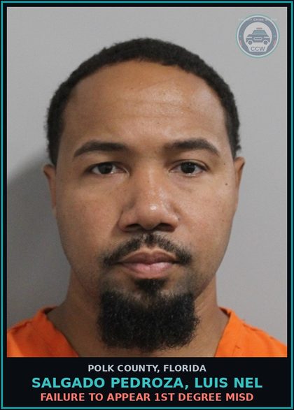CCW arrest card for SALGADO PEDROZA, LUIS NEL in Polk County: FAILURE TO APPEAR 1st Degree Misd