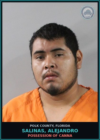 CCW arrest card for SALINAS, ALEJANDRO in Polk County: Drive While Lic Suspended Revoke E
