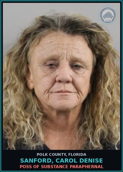 CCW arrest card for SANFORD, CAROL DENISE in Polk County: Viol of Probation Community Contro