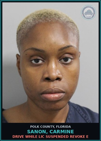 CCW arrest card for SANON, CARMINE in Polk County: Drive While Lic Suspended Revoke E