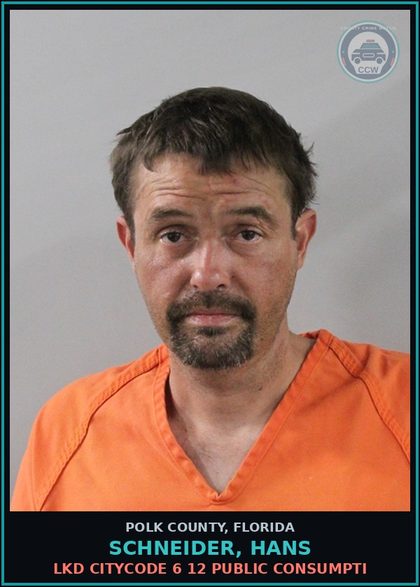 CCW arrest card for SCHNEIDER, HANS in Polk County: LKD CITYCODE 6 12 PUBLIC CONSUMPTI