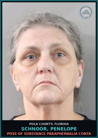 CCW arrest card for SCHNOOR, PENELOPE in Polk County: Canna POSSESS Over 20 Grams