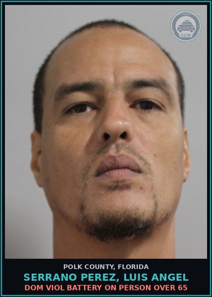 CCW arrest card for SERRANO PEREZ, LUIS ANGEL in Polk County: Dom Viol Battery on Person over 65