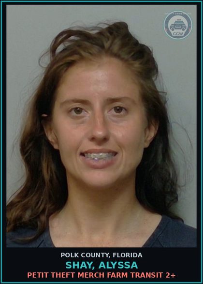 CCW arrest card for SHAY, ALYSSA in Polk County: Exposure of s3xual Organs 1st Offe