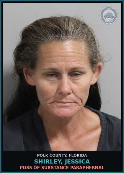 CCW arrest card for SHIRLEY, JESSICA in Polk County: Canna POSSESS Not More Than 20