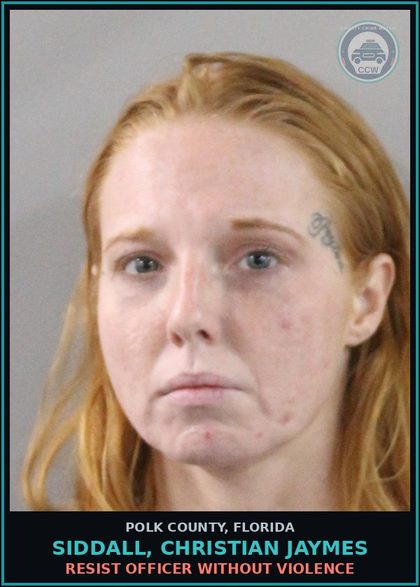 CCW arrest card for SIDDALL, CHRISTIAN JAYMES in Polk County: Permit Unauthorized Person to Driv