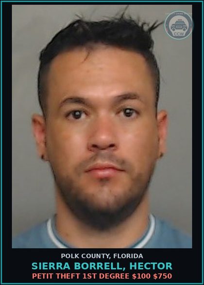 CCW arrest card for SIERRA BORRELL, HECTOR in Polk County: Information Non Criminal Offense