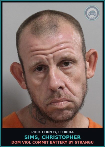 CCW arrest card for SIMS, CHRISTOPHER in Polk County: Dom Viol Commit Battery by Strangu