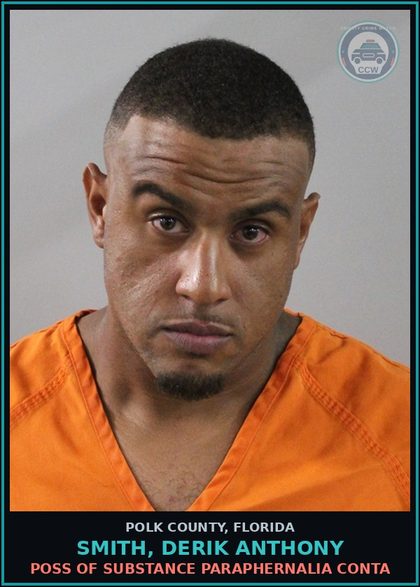 CCW arrest card for SMITH, DERIK ANTHONY in Polk County: Canna POSSESS Not More Than 20