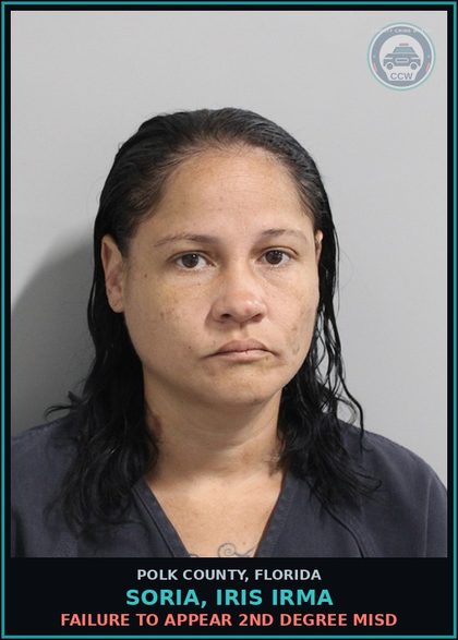 CCW arrest card for SORIA, IRIS IRMA in Polk County: FAILURE TO APPEAR 2nd Degree Misd