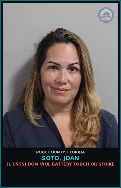 CCW arrest card for SOTO, JOAN in Polk County: (1 cnts) DOM VIOL BATTERY TOUCH OR STRIKE