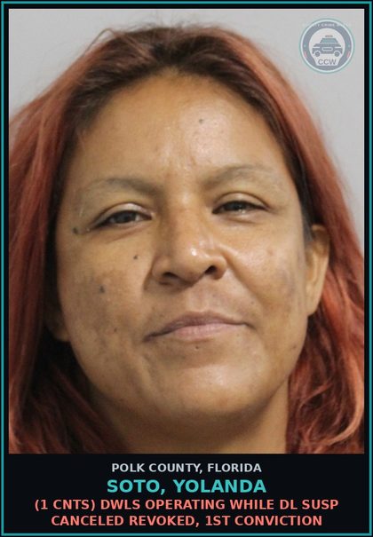 CCW arrest card for SOTO, YOLANDA in Polk County: (1 cnts) DWLS OPERATING WHILE DL SUSP CANCELED REVOKED, 1ST CONVICTION