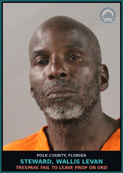 CCW arrest card for STEWARD, WALLIS LEVAN in Polk County: FAILURE TO APPEAR 2nd Degree Misd