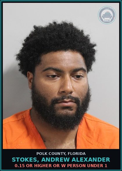 CCW arrest card for STOKES, ANDREW ALEXANDER in Polk County: 0.15 or Higher or W Person Under 1