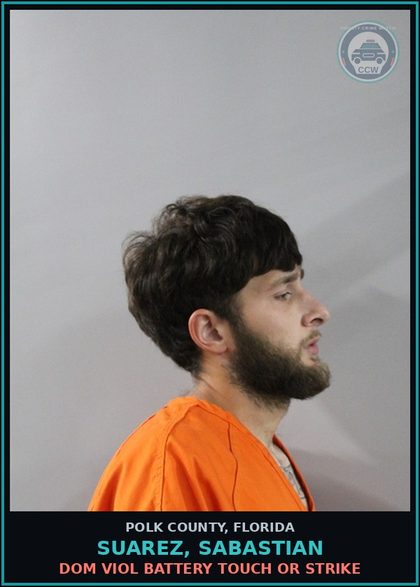 CCW arrest card for SUAREZ, SABASTIAN in Polk County: Dom Viol Battery Touch or Strike