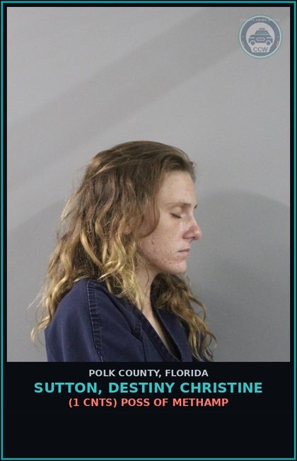 CCW arrest card for SUTTON, DESTINY CHRISTINE in Polk County: (1 cnts) FTA WEWR PETIT THEFT 1ST DEGREE 100 MORE LT 750 DOLLARS