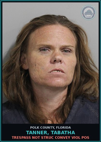 CCW arrest card for TANNER, TABATHA in Polk County: Trespass Not Struc Convey Viol Pos