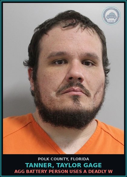 CCW arrest card for TANNER, TAYLOR GAGE in Polk County: Aggravated WIT Commit Felony