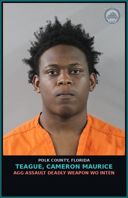CCW arrest card for TEAGUE, CAMERON MAURICE in Polk County: Viol of Probation Community Contro