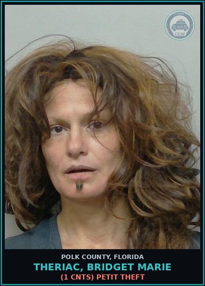 CCW arrest card for THERIAC, BRIDGET MARIE in Polk County: (1 cnts) PETIT THEFT