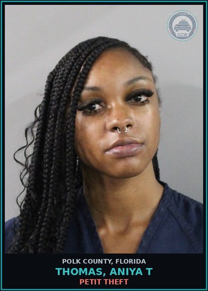 CCW arrest card for THOMAS, ANIYA T in Polk County: Petit Theft