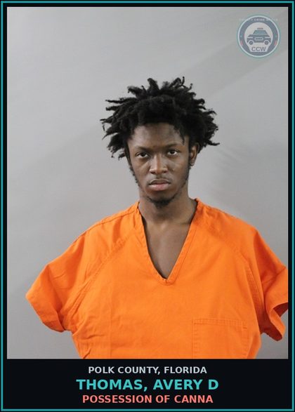 CCW arrest card for THOMAS, AVERY D in Polk County: POSSESSION OF Canna