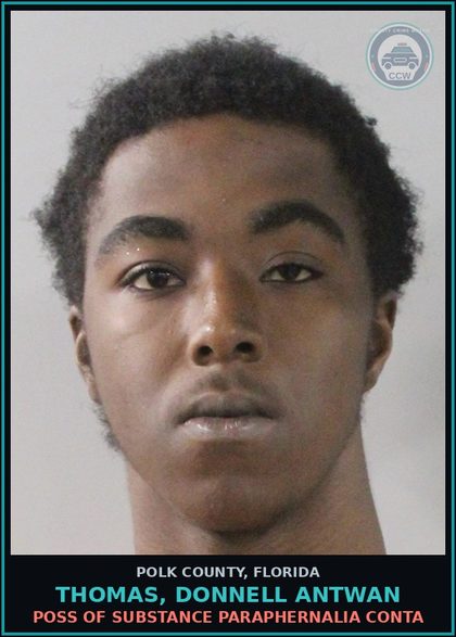 CCW arrest card for THOMAS, DONNELL ANTWAN in Polk County: Canna POSSESS Not More Than 20