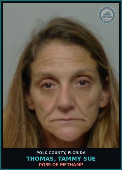 CCW arrest card for THOMAS, TAMMY SUE in Polk County: POSS OF Methamp