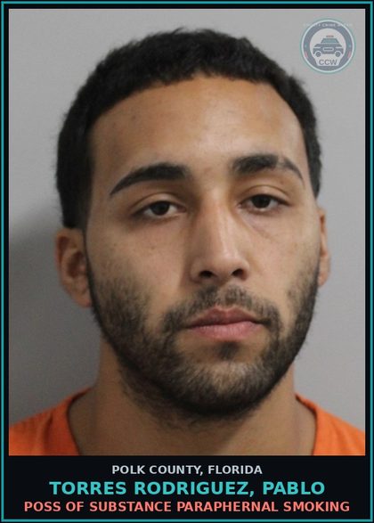 CCW arrest card for TORRES RODRIGUEZ, PABLO in Polk County: Canna POSSESS Not More Than 20