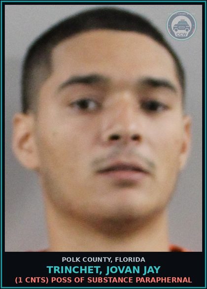 CCW arrest card for TRINCHET, JOVAN JAY in Polk County: Canna POSSESS Not More Than 20