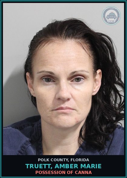 CCW arrest card for TRUETT, AMBER MARIE in Polk County: Petit Theft Merch Farm Transit 2+