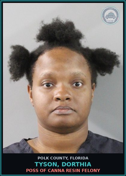 CCW arrest card for TYSON, DORTHIA in Polk County: POSS OF DRUG PARAPHERNAL