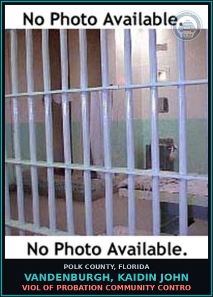 CCW arrest card for VANDENBURGH, KAIDIN JOHN in Polk County: Viol of Probation Community Contro