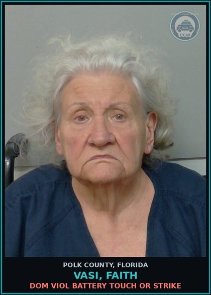 CCW arrest card for VASI, FAITH in Polk County: Dom Viol Battery Touch or Strike