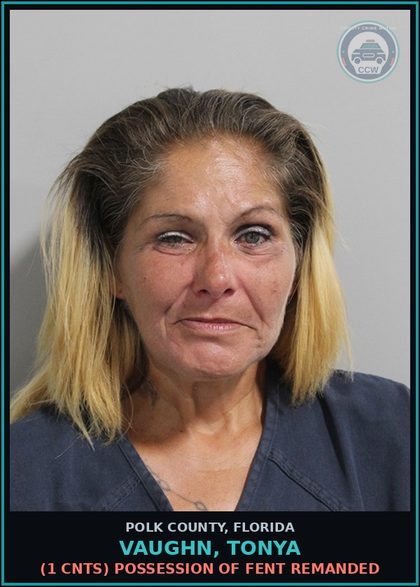 CCW arrest card for VAUGHN, TONYA in Polk County: (1 cnts) Petit Theft Merch Farm Transit 2+ Prior Conv