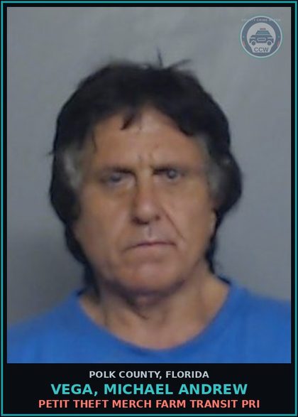 CCW arrest card for VEGA, MICHAEL ANDREW in Polk County: Information Non Criminal Offense