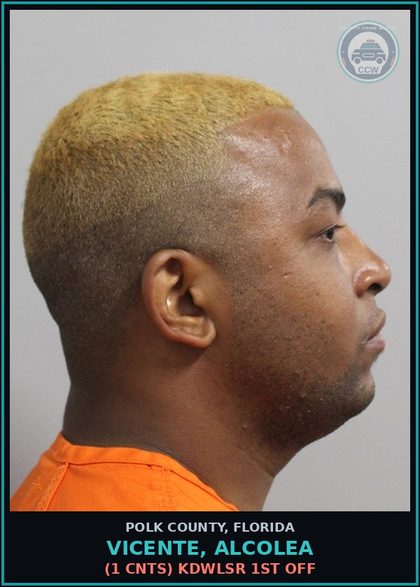 CCW arrest card for VICENTE, ALCOLEA in Polk County: (1 cnts) KDWLSR 1ST OFF