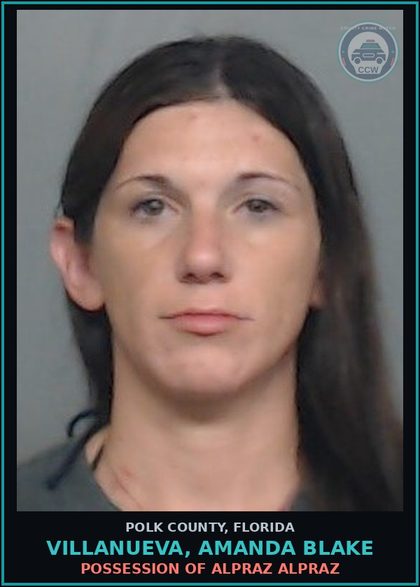 CCW arrest card for VILLANUEVA, AMANDA BLAKE in Polk County: Information Non Criminal Offense