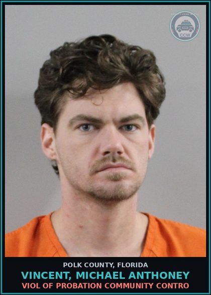 CCW arrest card for VINCENT, MICHAEL ANTHONEY in Polk County: Viol of Probation Community Contro