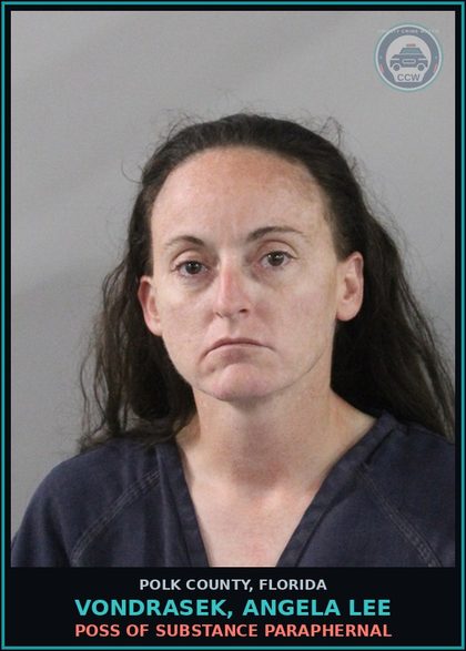 CCW arrest card for VONDRASEK, ANGELA LEE in Polk County: Canna POSSESS Not More Than 20