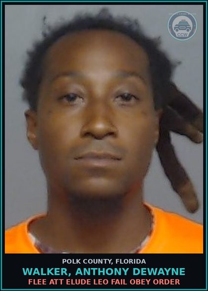 CCW arrest card for WALKER, ANTHONY DEWAYNE in Polk County: Flee Att Elude LEO Fail Obey Order