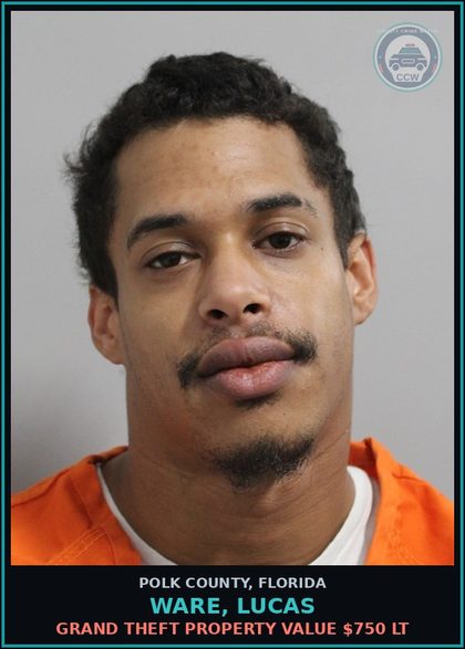 CCW arrest card for WARE, LUCAS in Polk County: (1 cnts) DEALING IN STOLEN PROP