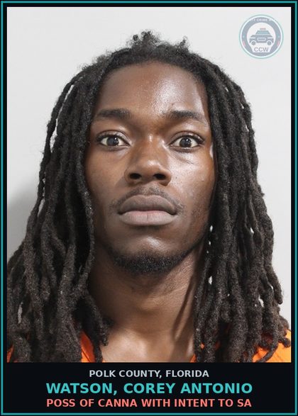 CCW arrest card for WATSON, COREY ANTONIO in Polk County: Attempted Tampering With Evidence