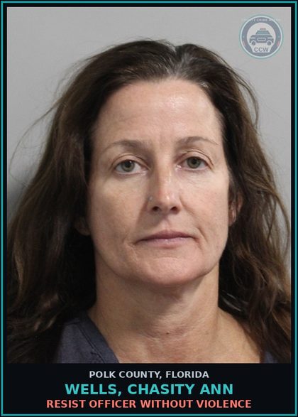 CCW arrest card for WELLS, CHASITY ANN in Polk County: Resist Officer without Violence