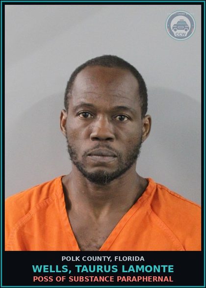 CCW arrest card for WELLS, TAURUS LAMONTE in Polk County: POSS OF DRUG PARAPHERNAL