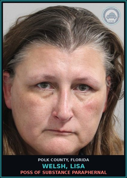 CCW arrest card for WELSH, LISA in Polk County: POSS OF DRUG PARAPHERNAL
