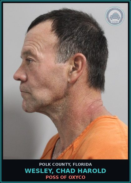 CCW arrest card for WESLEY, CHAD HAROLD in Polk County: POSS OF oxyco