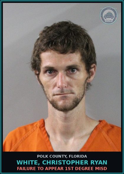 CCW arrest card for WHITE, CHRISTOPHER RYAN in Polk County: FAILURE TO APPEAR 1st Degree Misd