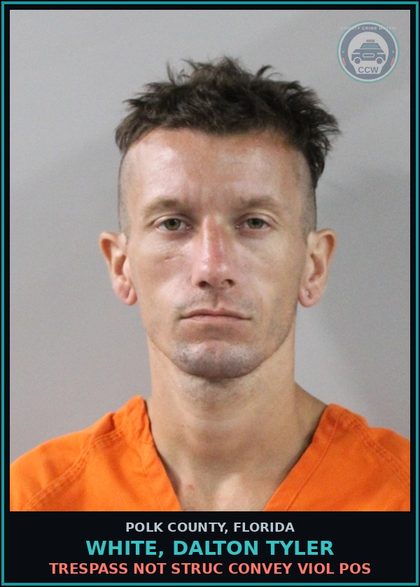 CCW arrest card for WHITE, DALTON TYLER in Polk County: Trespass Not Struc Convey Viol Pos